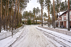 Самый большой участок в Соснах