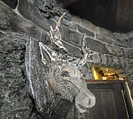 Ресторан - паб в центре Ачинска. Ресторан - паб в центре Ачинска.