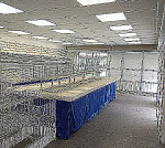 Помещение с отличным трафиком на Киренского